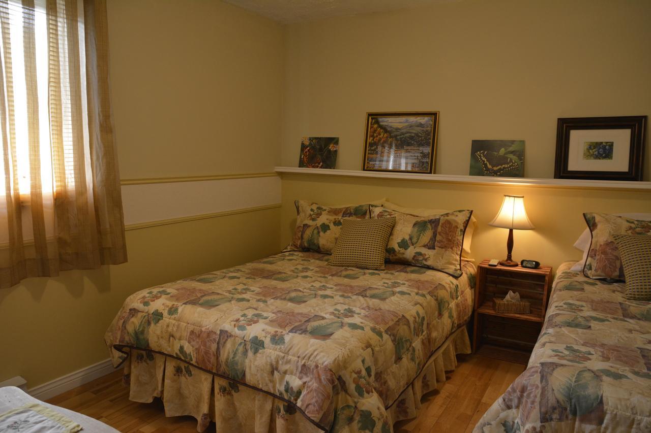 Gite Marie-Claire Petit-Saguenay Exterior photo